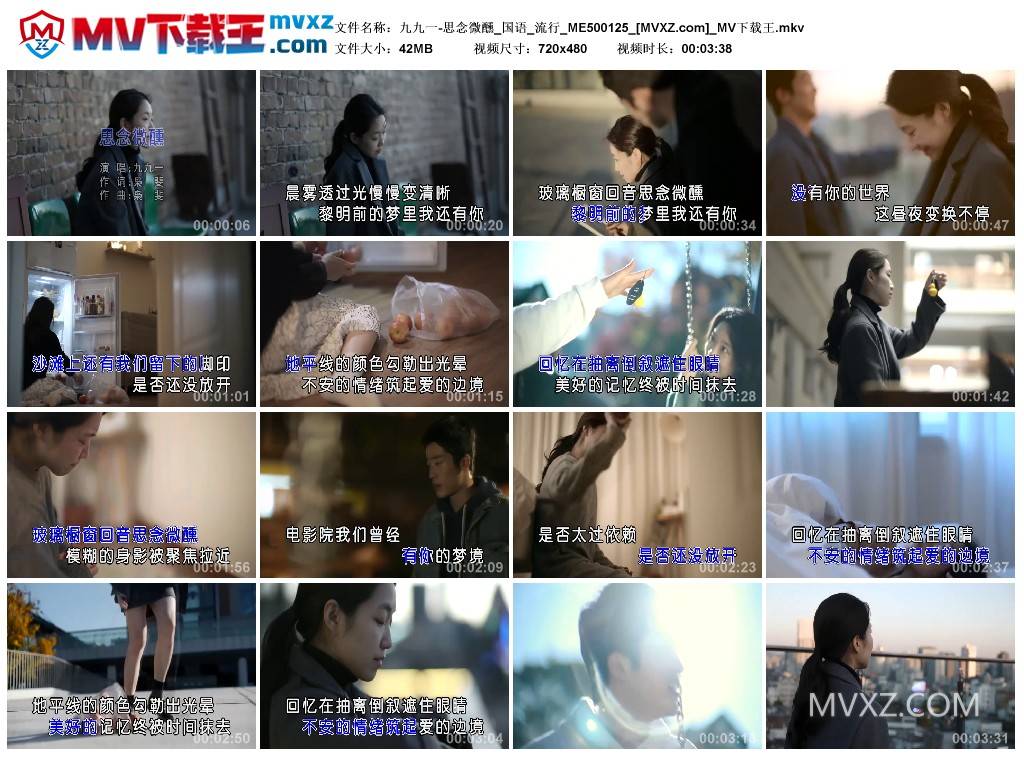 九九一-思念微醺_国语_流行_ME500125